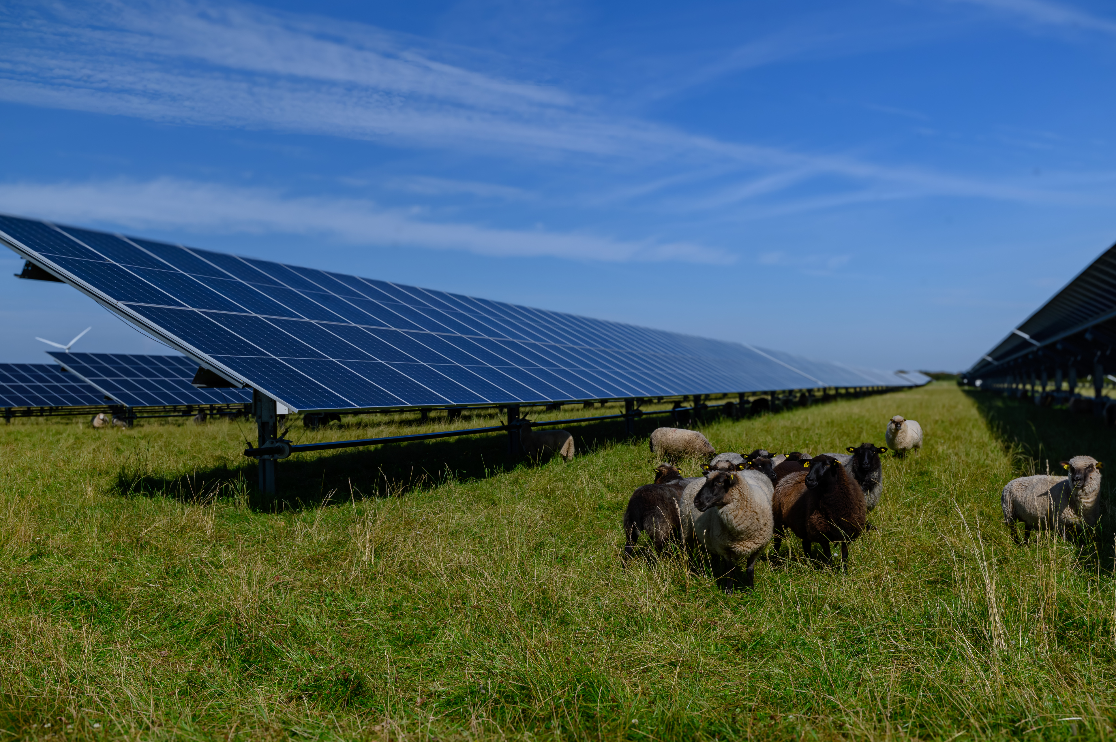 Ohio blocks big solar farm, despite apparently fake public comments