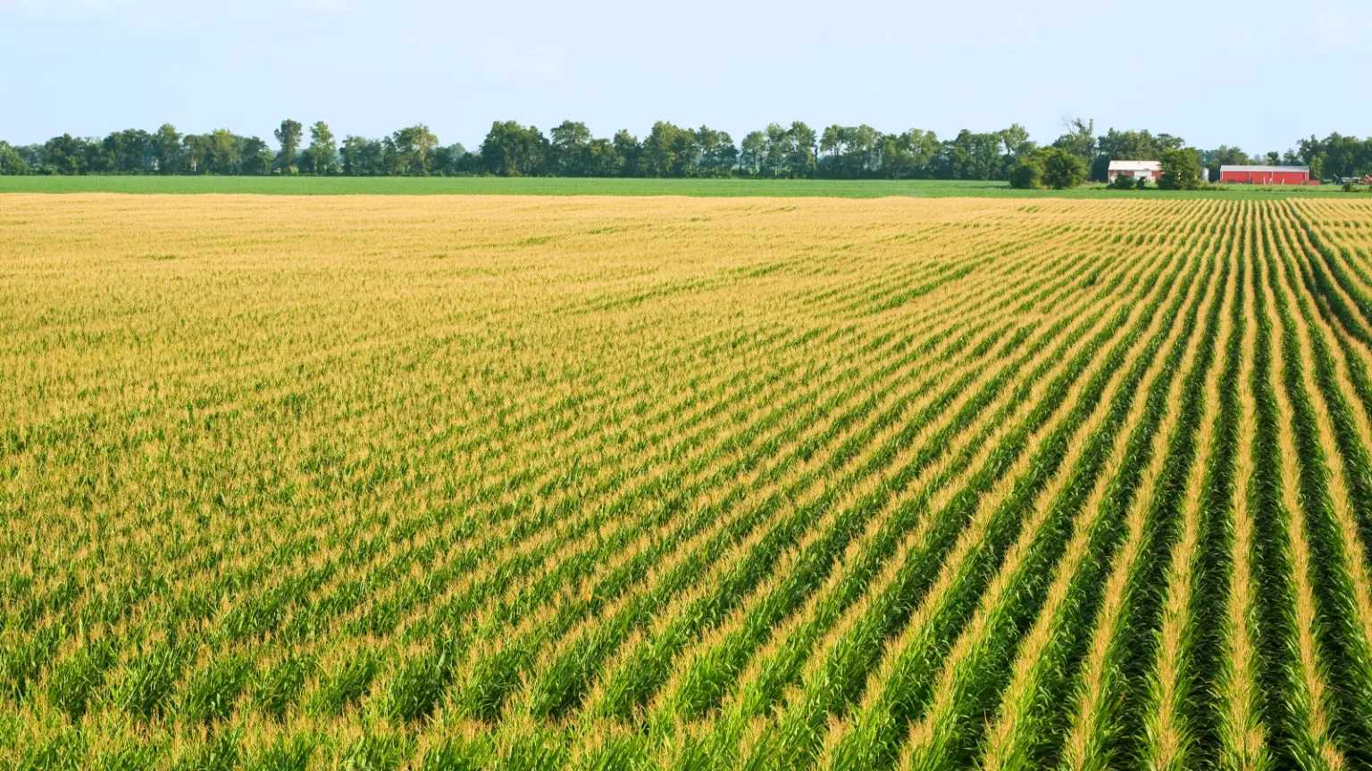Climate experts say spring is coming earlier. How will that affect agriculture and ecosystems?