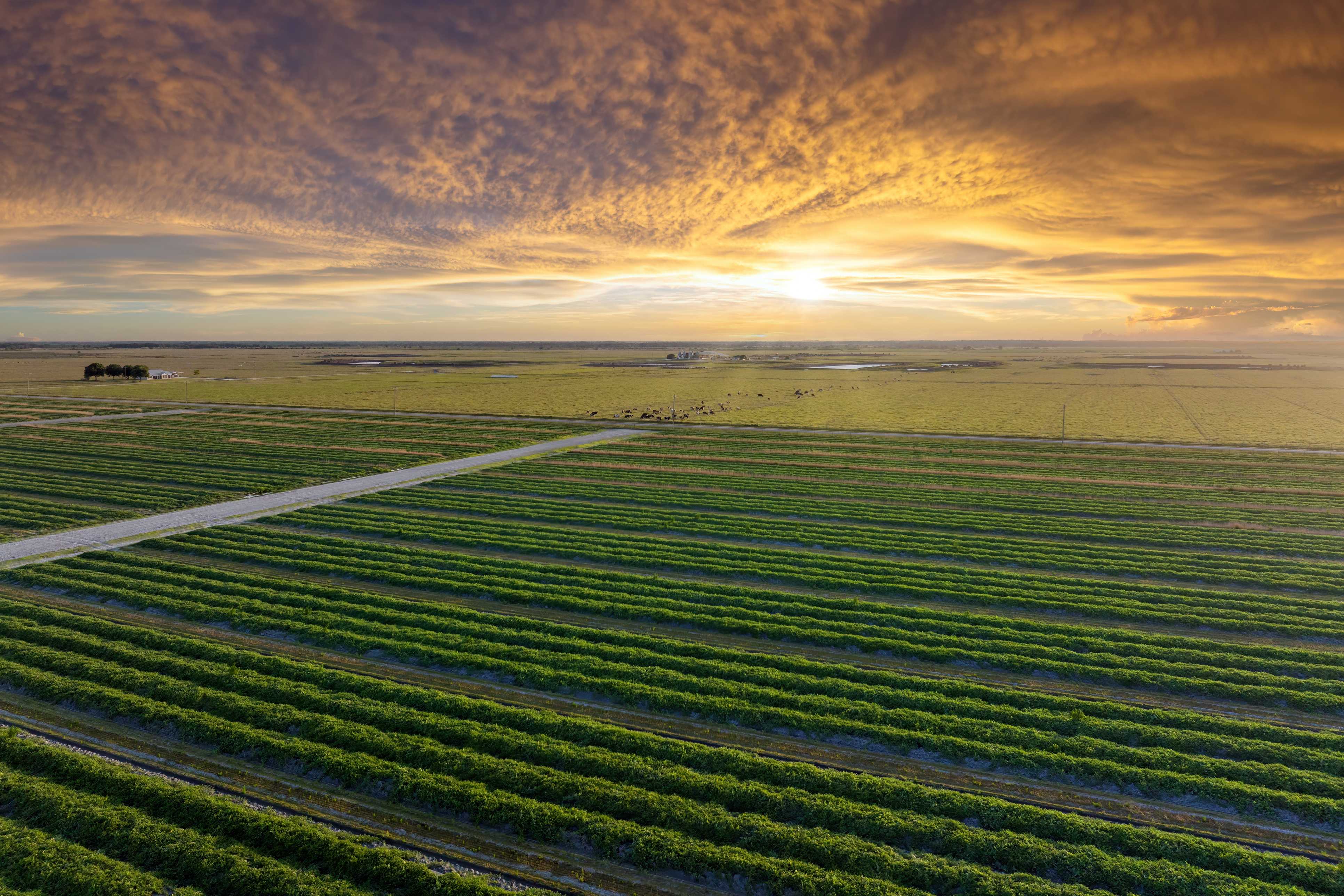 ‘The outlook is pretty bleak’: Farmers brace for a difficult season