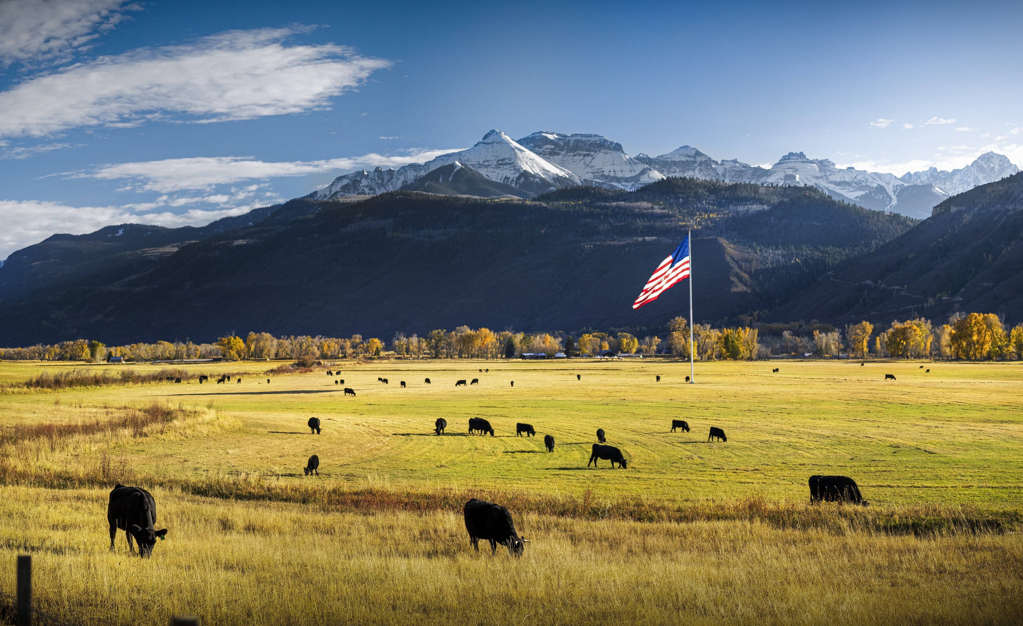 Why the US‑Canada trade war could change how American farmers grow their crops for years