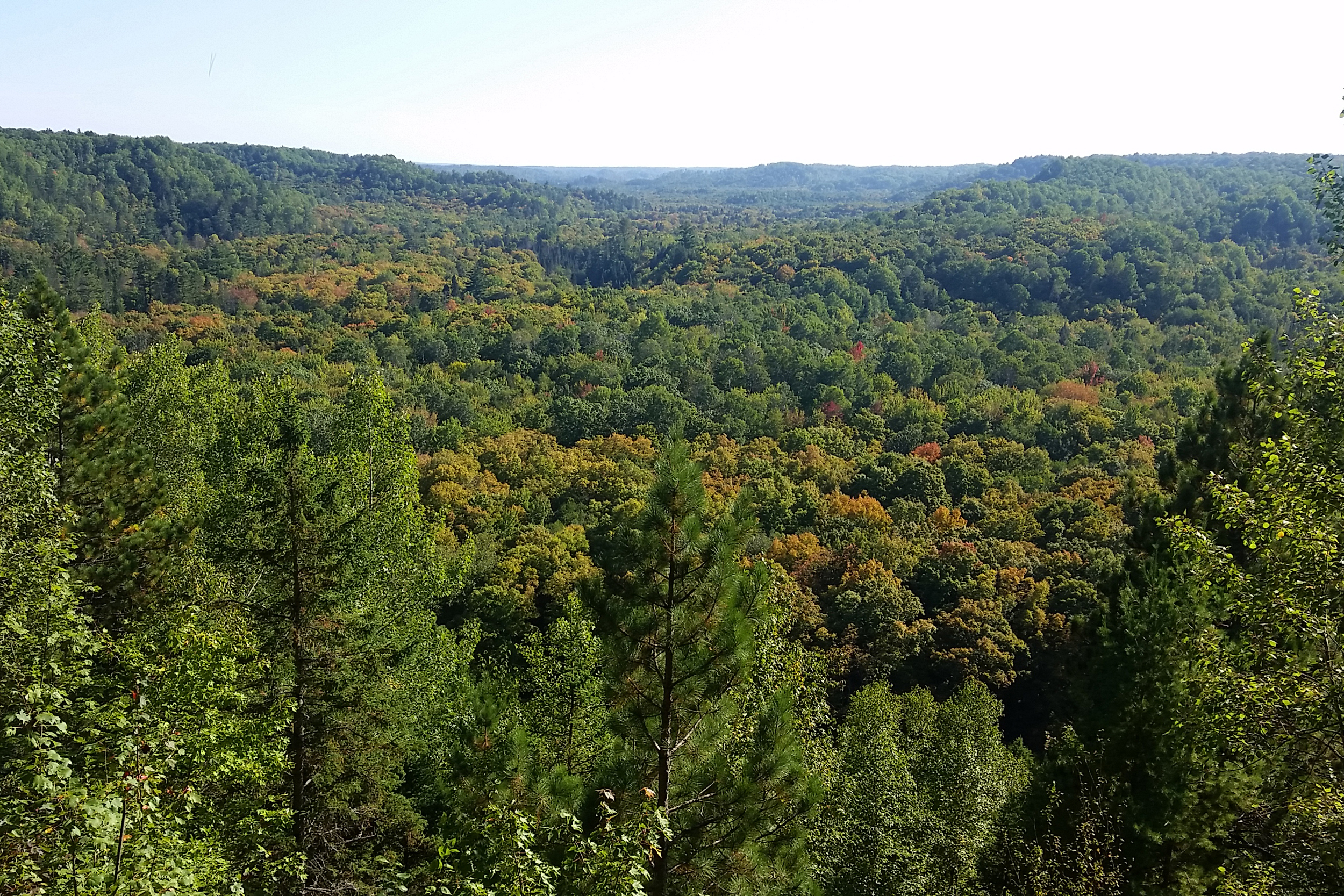 Formal Repeal of Roadless Rule Directly Threatens Midwest Wilderness